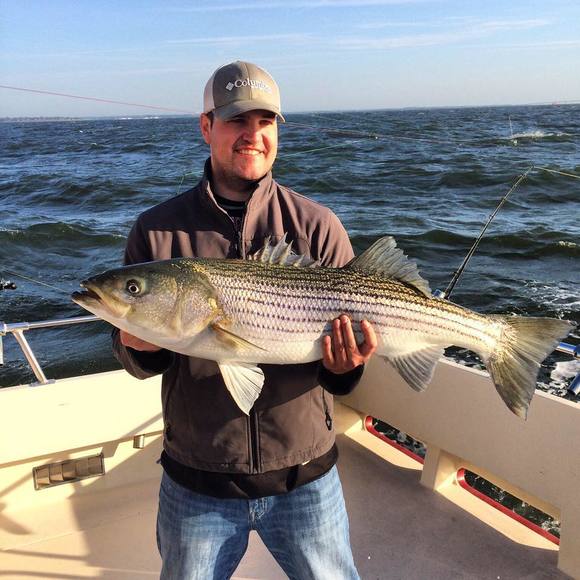 Meet your Posher, Colin - Picture 1 of 1